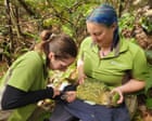 Saving the world’s fattest parrot: can New Zealand vaccinate its rare species before bird flu gets to them?