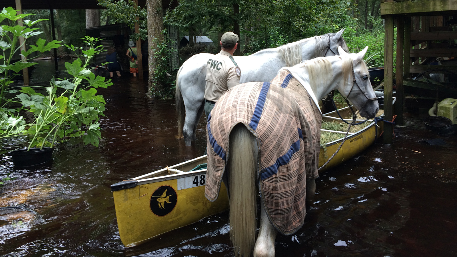 Waterlogged and contaminated: In rural Florida, locals suspect a mining company is to blame for their flooding troubles