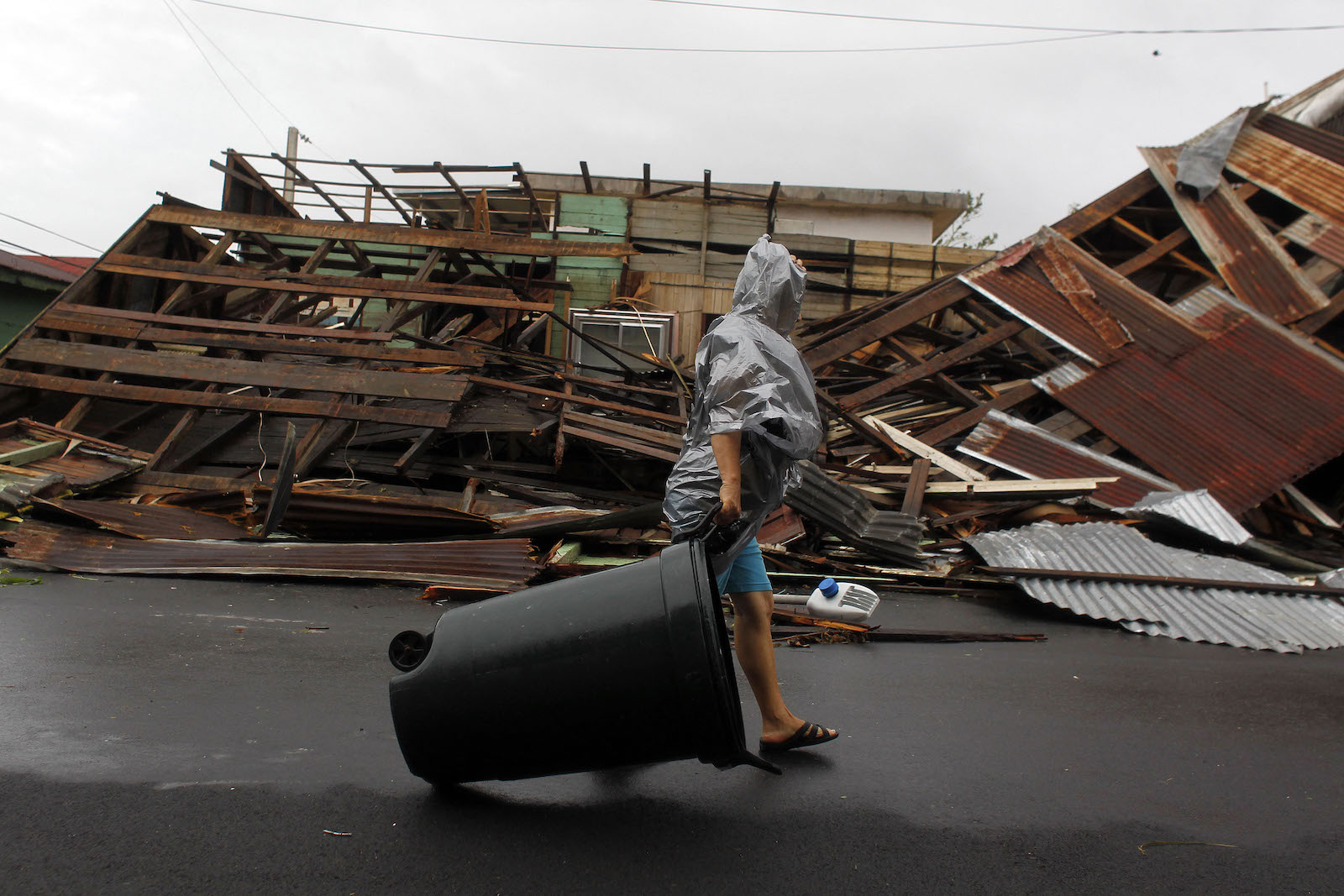 Puerto Ricans are devising the food system of tomorrow