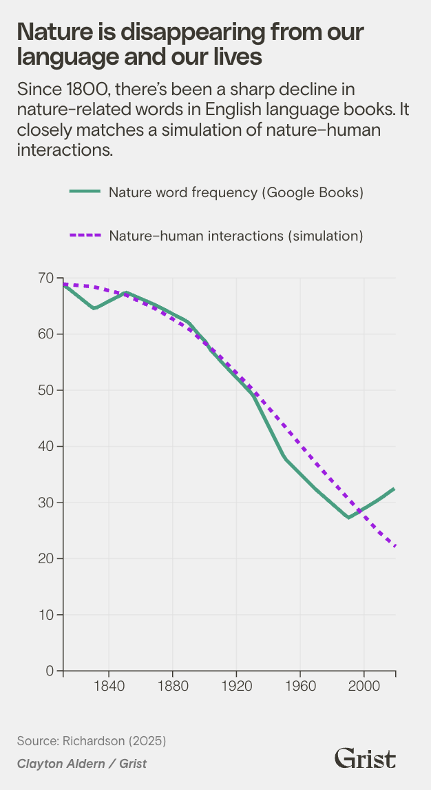 The words we use to talk about nature are disappearing. Here’s why that matters.
