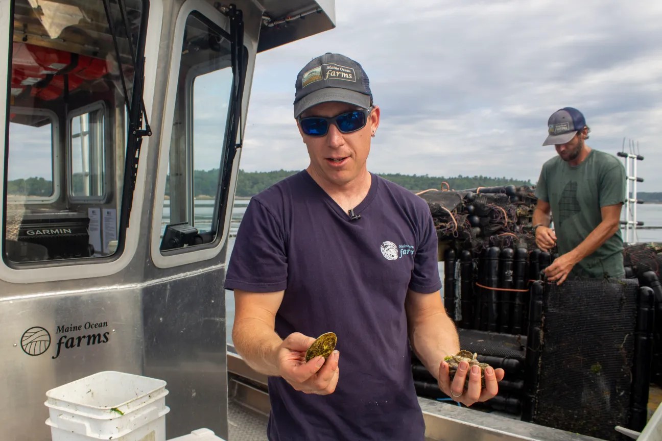 Meet the small business owners electrifying Maine’s rural coast