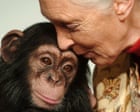 Jane Goodall – a life in pictures