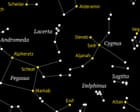 Starwatch: can you spot Lacerta the lizard crawling across the night sky?