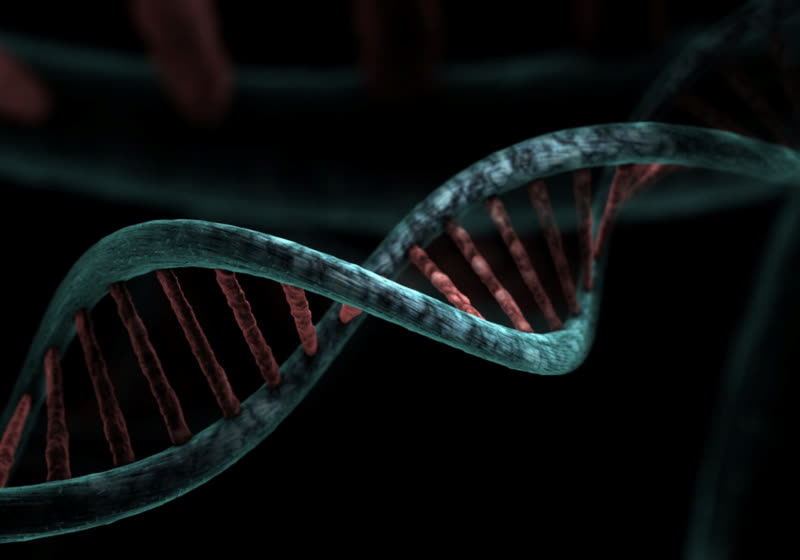 MetaGraph is like Google for DNA, just more compressed and jam-packed with genomic data