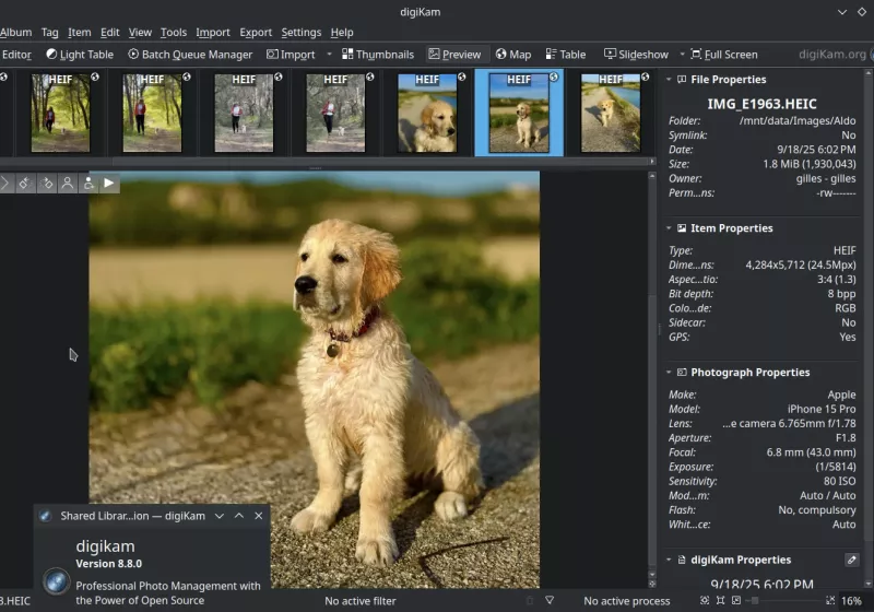 digiKam is a powerful open-source photo manager and RAW editor
