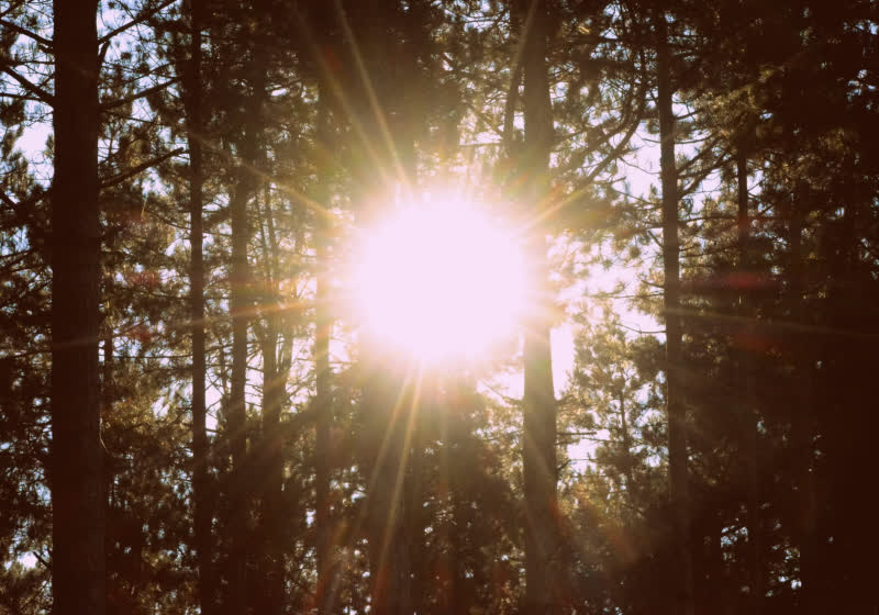 This ultra-thin UVA detector is designed to disappear into your smartwatch or clothing