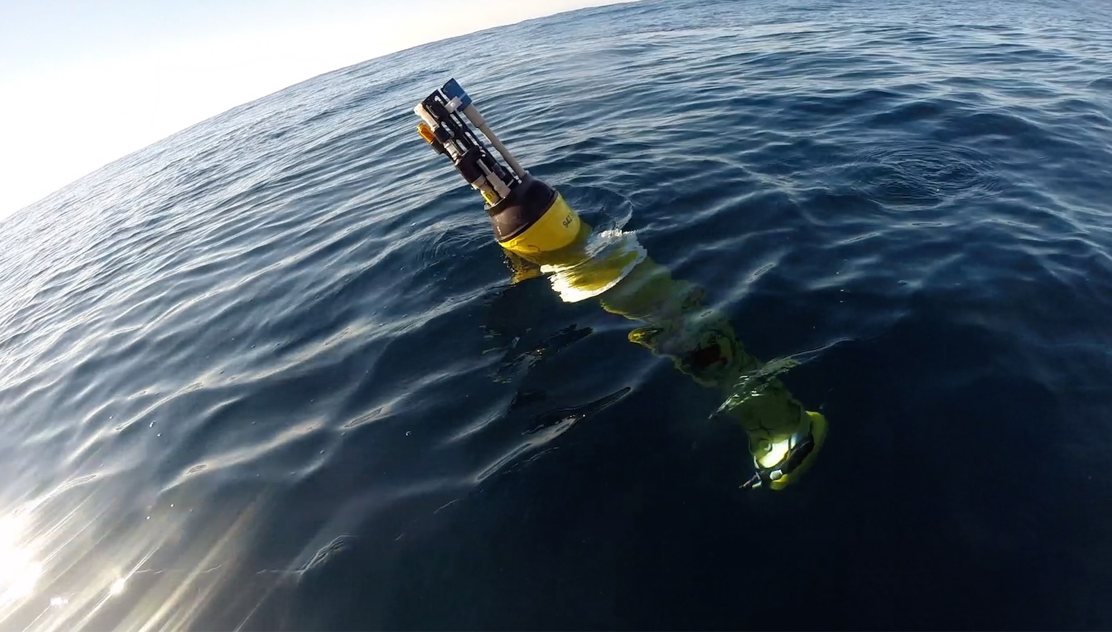 The ocean is a carbon toilet. Marine heat waves are clogging it.