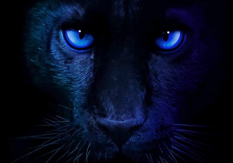 Intel confirms Core Ultra Series 3 "Panther Lake" CPUs will debut at CES on January 5th