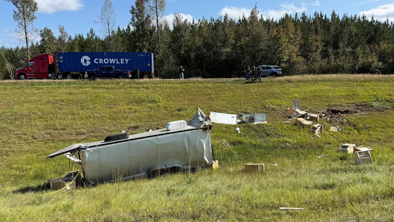 Mississippi woman kills escaped monkey fearing for her children's safety