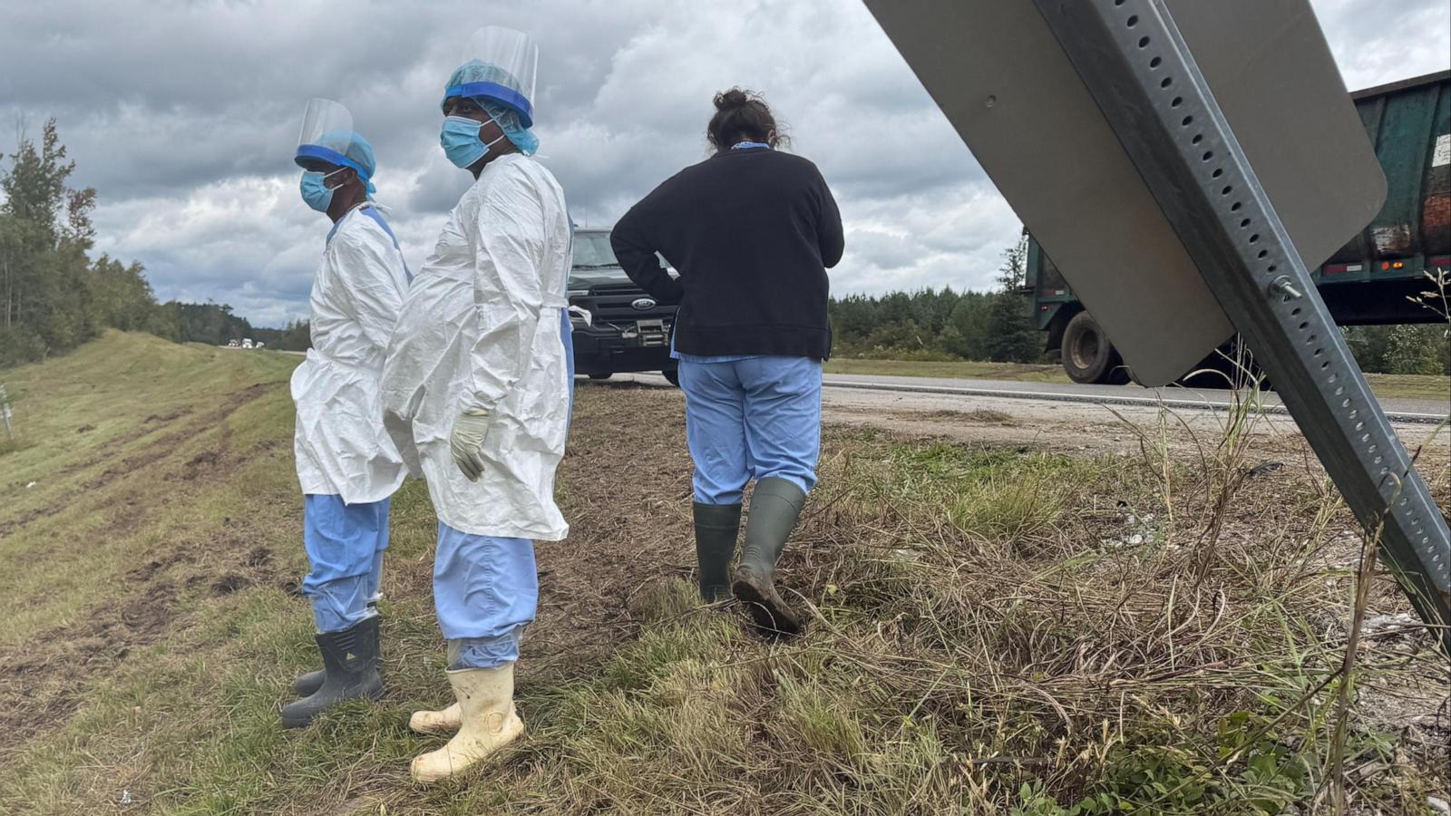 2nd escaped monkey fatally shot, leaving 1 still on the loose after Mississippi crash