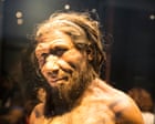 Endoscopy finds Neanderthal noses not as adapted to the cold as expected