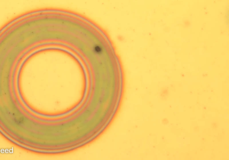 Scientists develop nanophotonic material that changes color, texture, and shape on demand