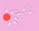 More frequent ejaculations may boost men’s fertility, research suggests