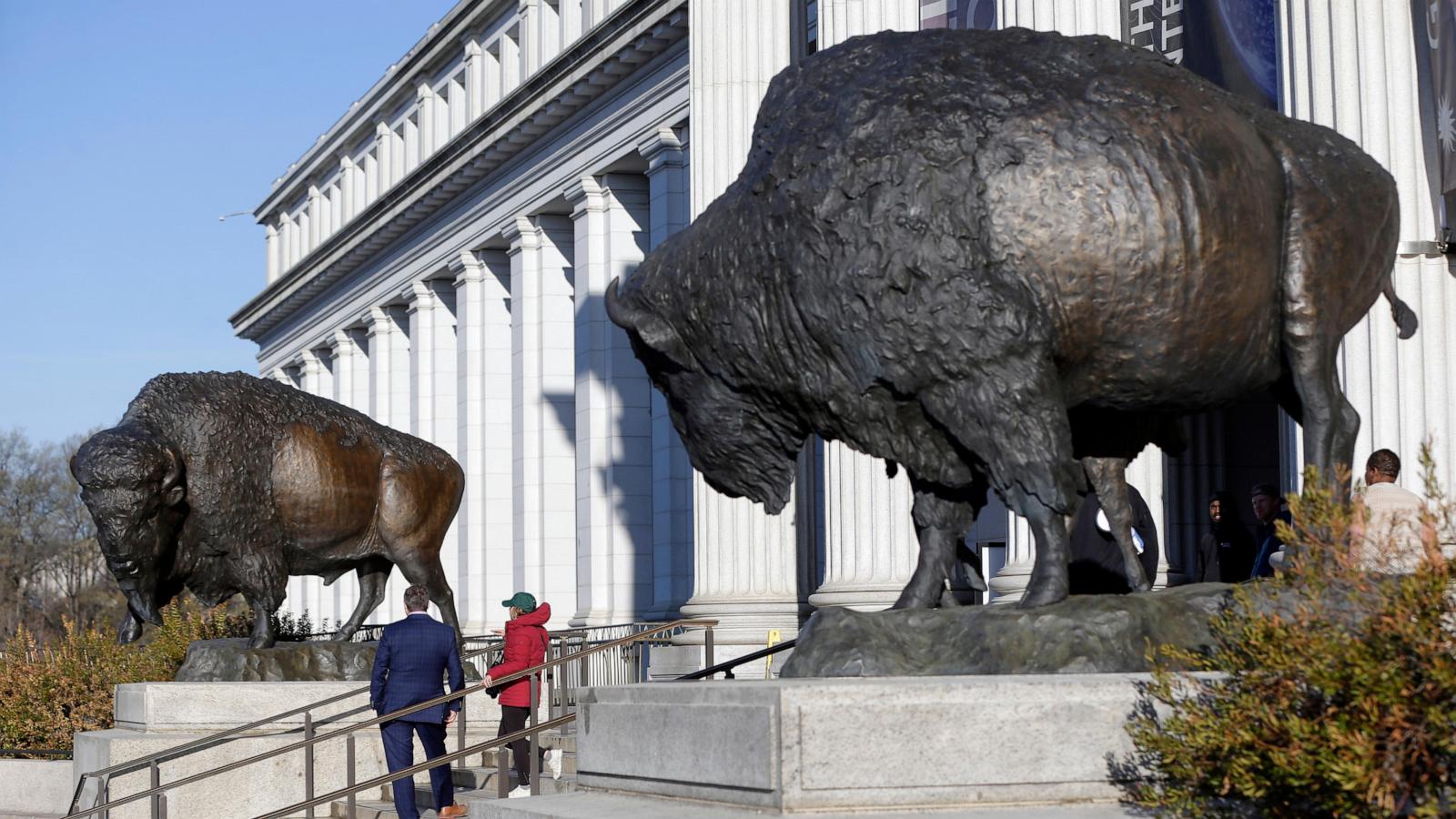 America's official mammal, the bison, gets a bronze tribute for the country's 250th birthday