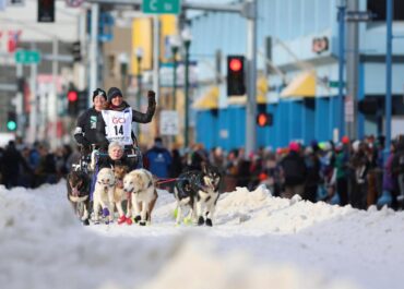 What to know: Downtown Anchorage braces for a canine takeover as the Iditarod’s 54th run begins