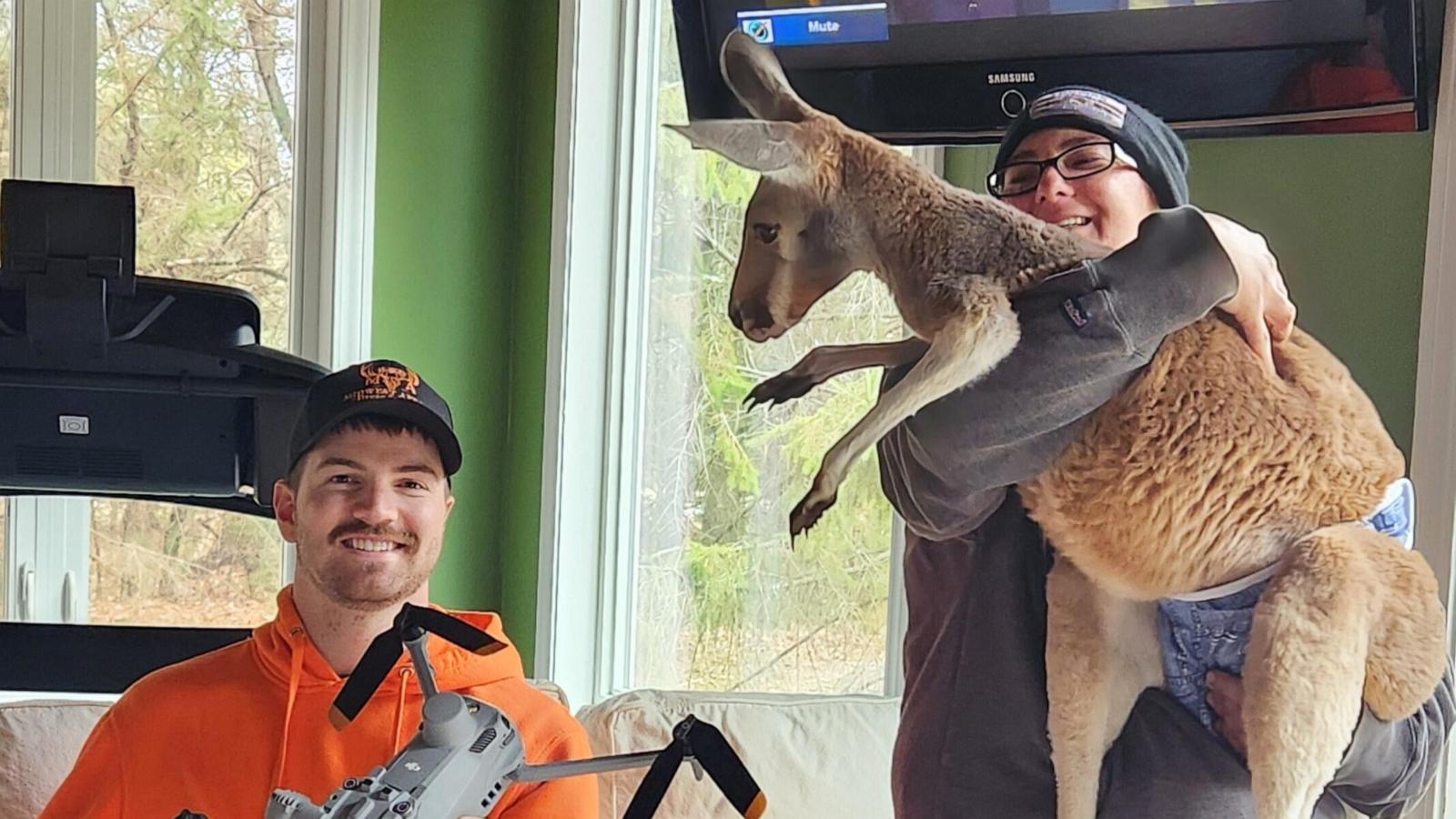 Chesney the kangaroo flees petting zoo for three days on the lam