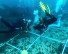 Hidden treasures: Spanish archaeologists discover trove of ancient shipwrecks in Bay of Gibraltar