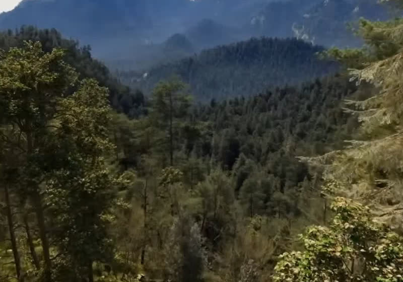 Nvidia shows The Witcher 4 forest demo running path tracing on an RTX 4070