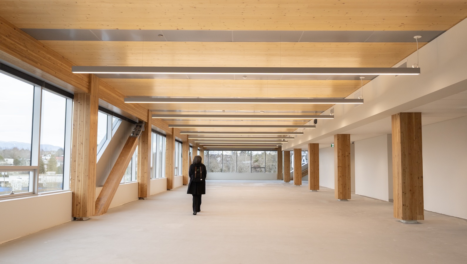 The skylines of the future will be made of wood