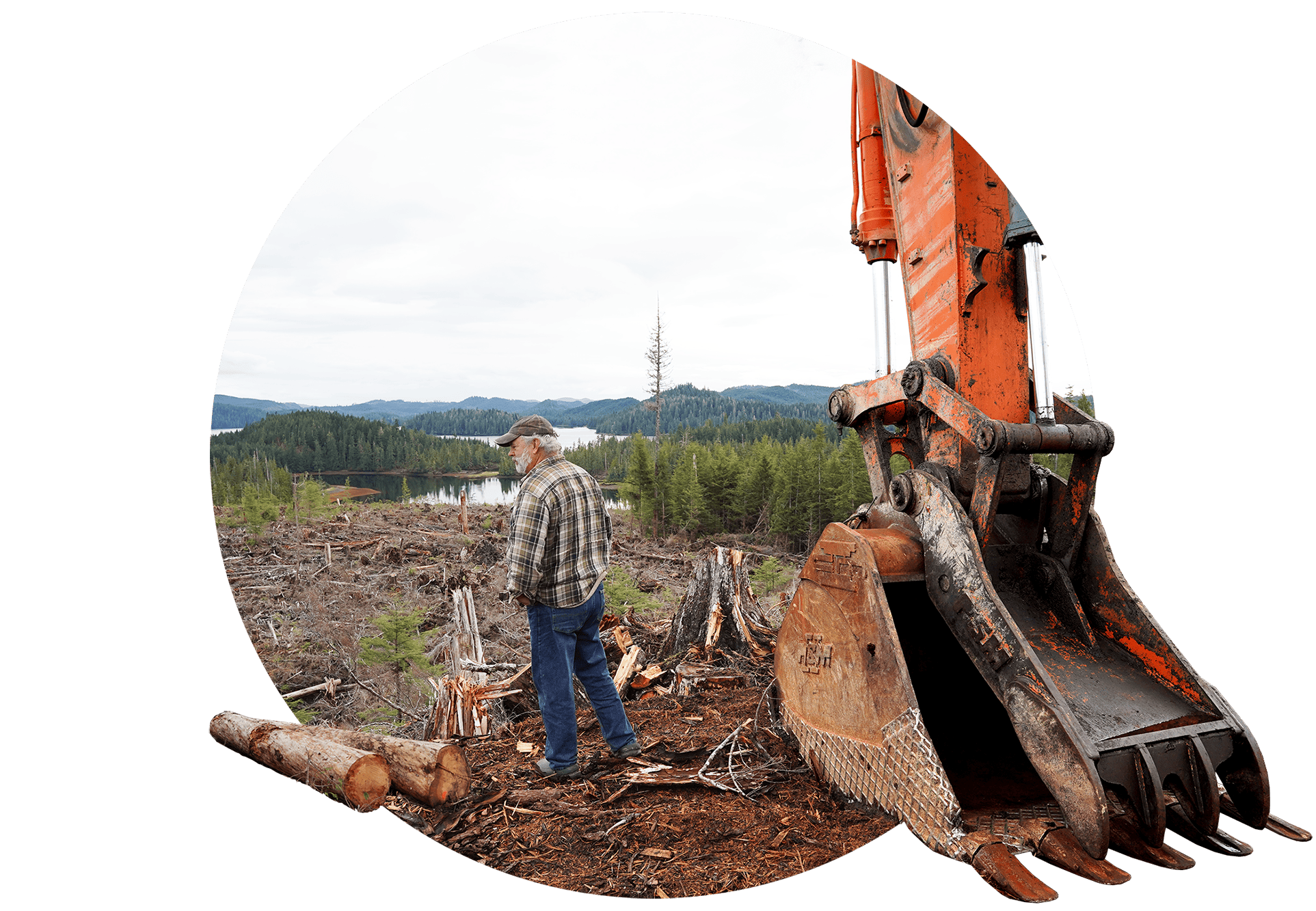 The Trump administration wants to take an ax to the East’s last great forests