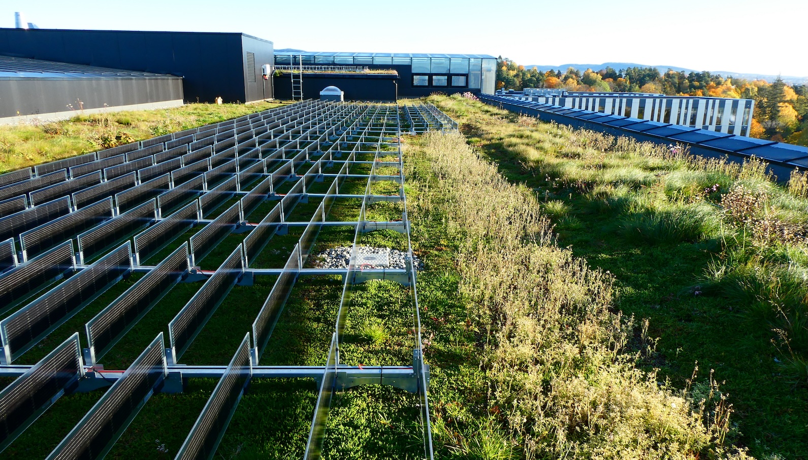The huge, untapped potential of planting rooftop gardens in cities