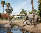 ‘Pompeii, but in the middle of a massive city’: the ice age fossil site hidden in Los Angeles