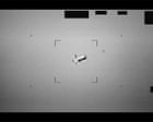 Hantavirus update, Pentagon’s UFO files, can art slow biological ageing? – podcast