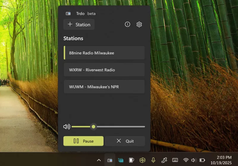 Trdo is a modern internet radio player for Windows