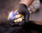 Magic mushrooms could be effective treatment for cocaine addiction, study shows