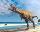 German museum to return rare Irritator dinosaur skull to Brazil