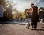 Obesity rates in some countries levelling off or potentially falling, study finds