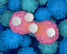 The emerging cancer treatment that’s exciting scientists: ‘We’ve just scratched the surface on what’s possible’
