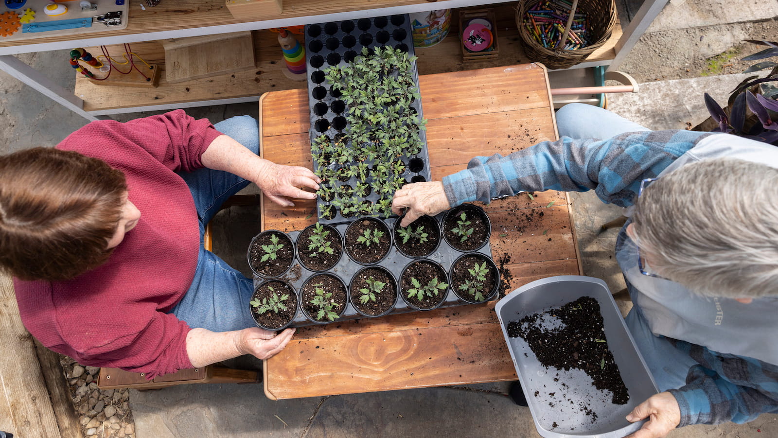 Once dismissed as weeds, native plants are now flying off the shelves