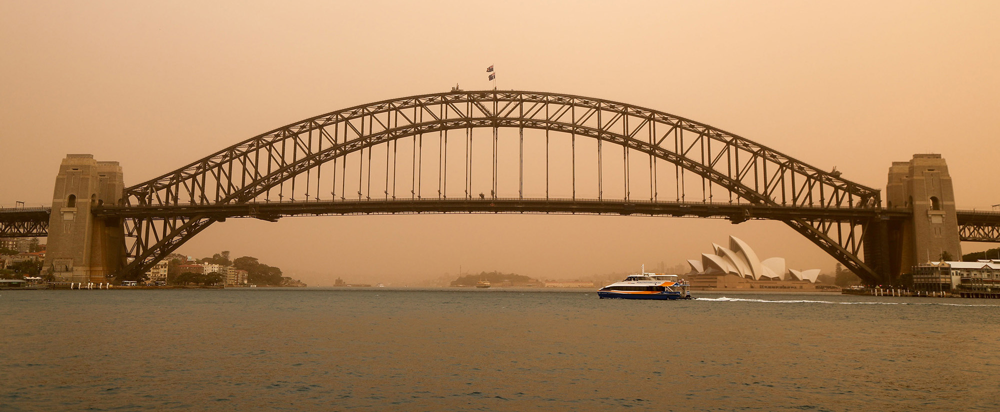 Wildfire smoke engulfed their cities. Did it make their babies sick?