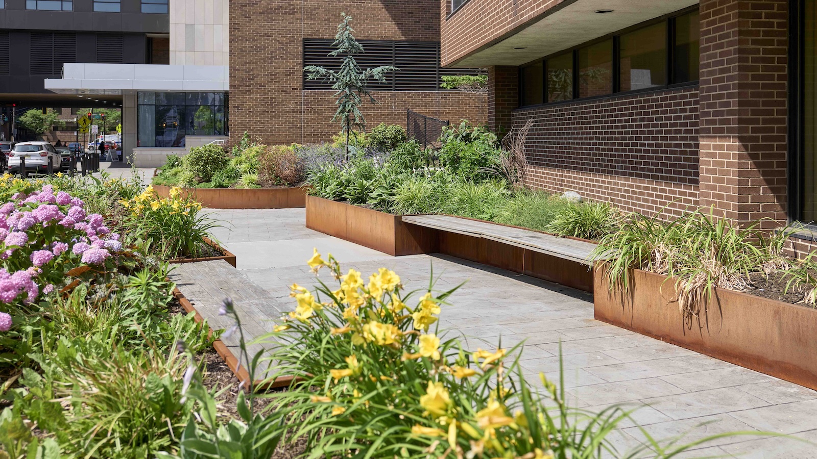 The solution to urban heat is much, much simpler than you think