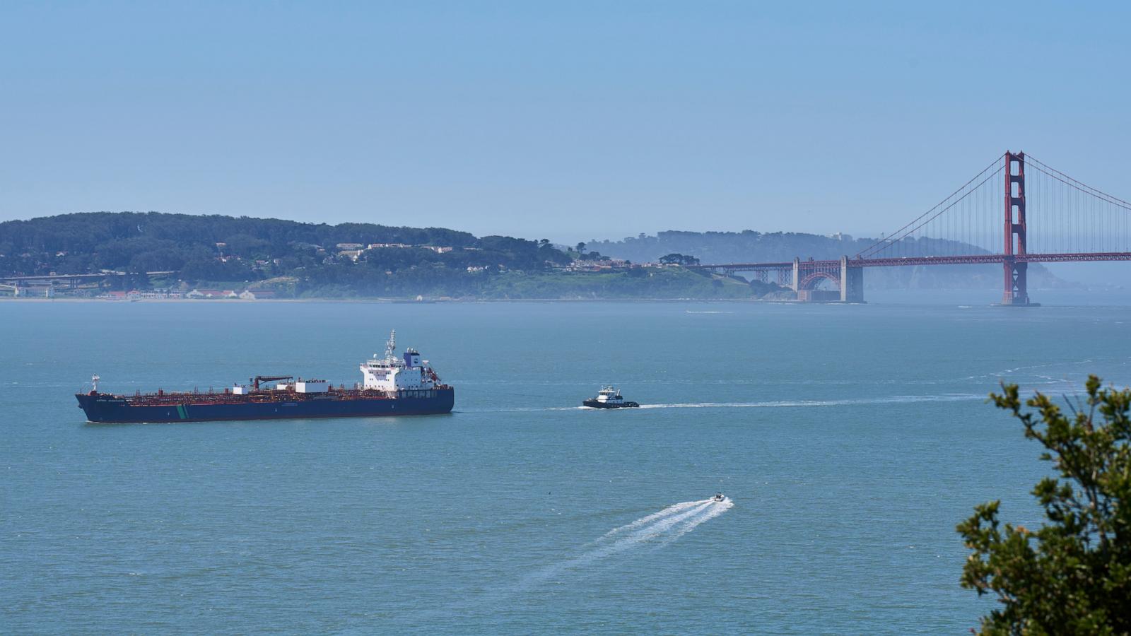 A new whale detection network launches in San Francisco Bay, alerting ships in real time
