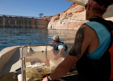 Releasing cool water protects fish in the Grand Canyon. That comes at cost to hydropower