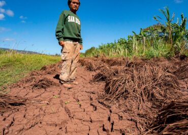 Hawaii’s worst flooding in decades leaves farmers struggling, fewer veggies at market