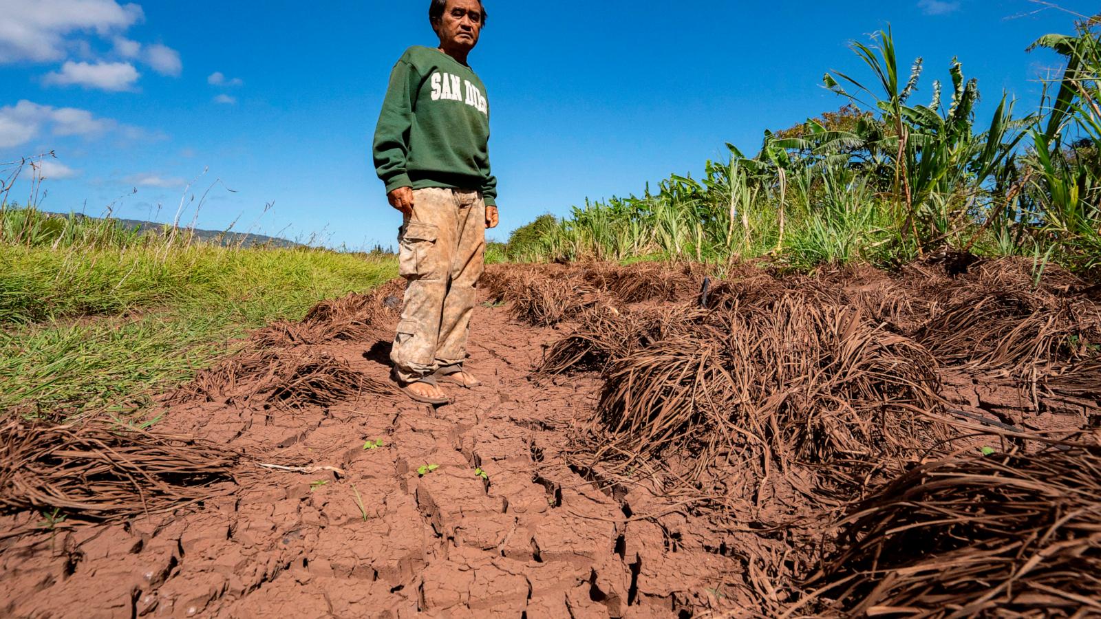 Hawaii's worst flooding in decades leaves farmers struggling, fewer veggies at market