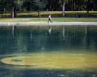 Reflecting pool algae: the science Trump needs to know – podcast