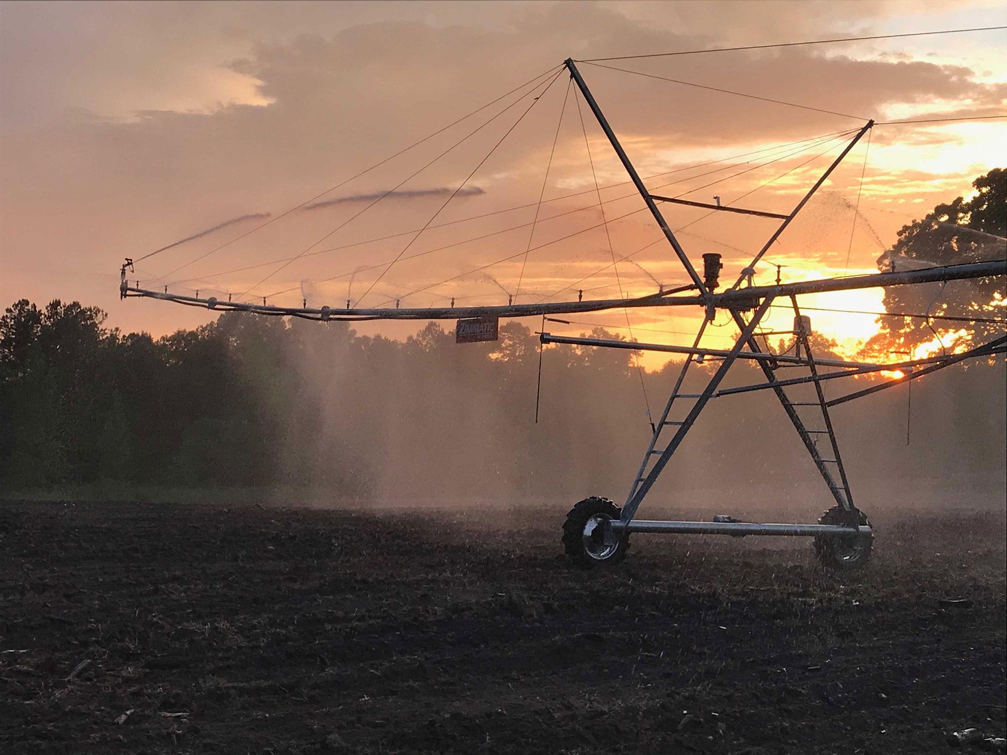 Georgia is losing farmland fast. Is a state conservation fund enough to save it?