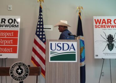 Two more Texas screwworm infections found in animals far apart, USDA says