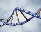 Can a world-first gene therapy reverse ageing? – podcast