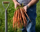 Nutrients in our food are declining. Can regenerative agriculture save it?