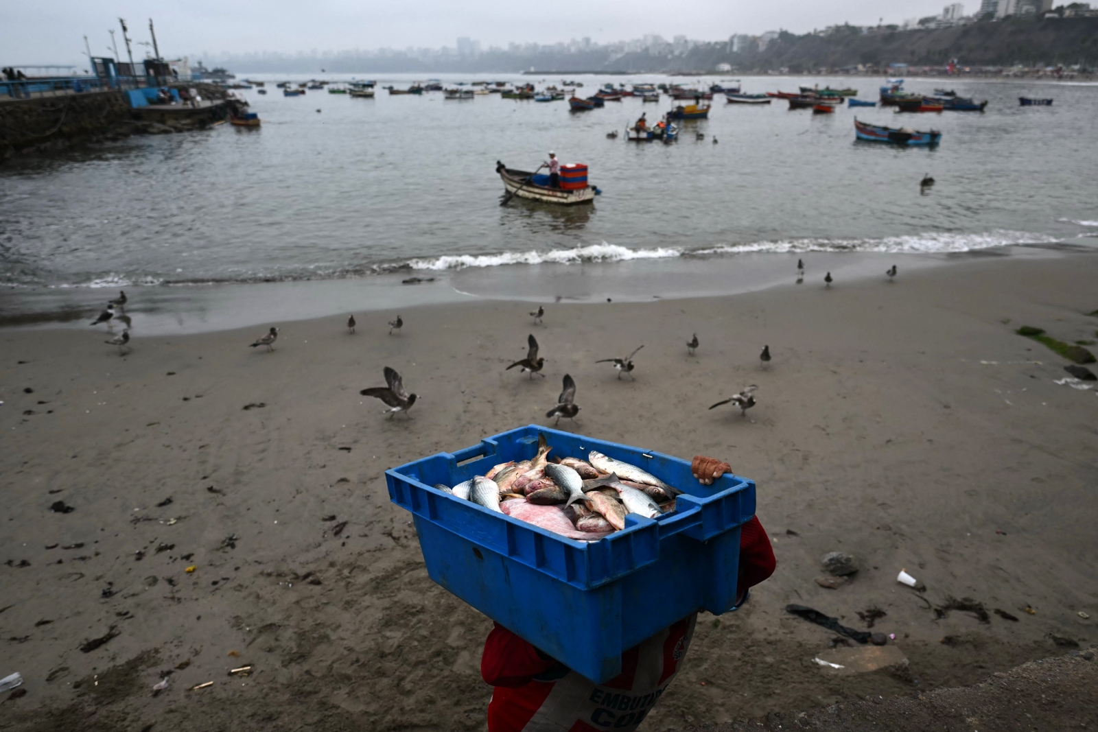 El Niño is here, and it’s already scrambling fisheries throughout the Pacific