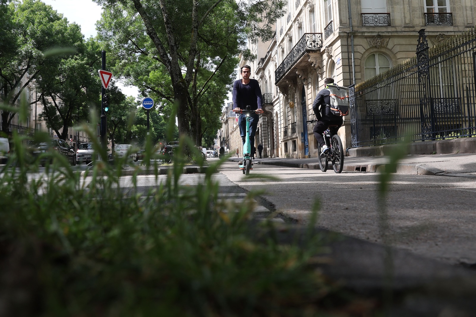 Urban trees aren’t just nice, scientists say — they’re mandatory
