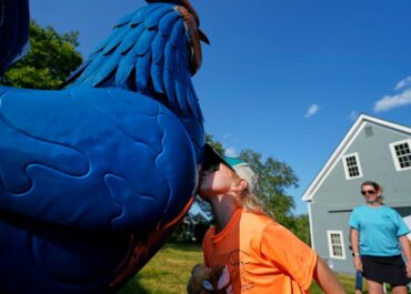 Giant metal roosters spread autism acceptance in Maine after town zoning spat