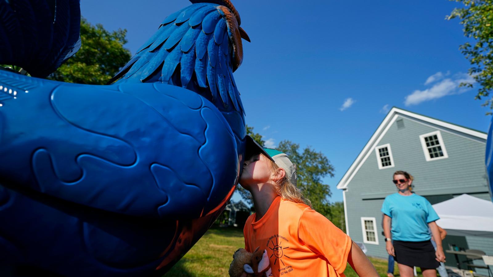 Giant metal roosters spread autism acceptance in Maine after town zoning spat