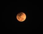 Near total lunar eclipse will be seen from North and South America Thursday night