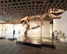 The ultra rich are collecting fossils. And that’s bad for science - video